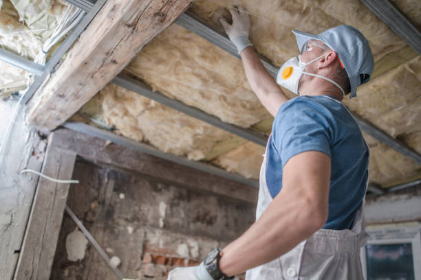 Best Cellulose Insulation in Purcellville, VA