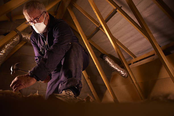 Types of Insulation We Offer in Purcellville, VA